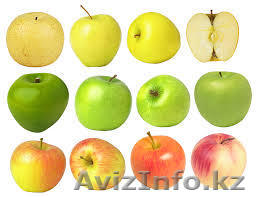 Яблоки из Польши на условиях FCA - Изображение #1, Объявление #1215138