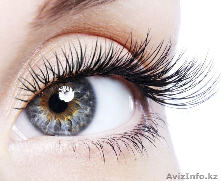 Курсы по наращиванию ресниц - Изображение #1, Объявление #1225337