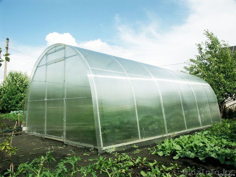 Теплица, парник в Астане - Изображение #1, Объявление #1225856