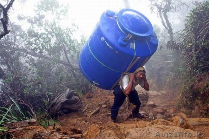 Ип круглосуточныйработник - Изображение #1, Объявление #1239854