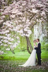 Фотографирую Свадьбы - Изображение #1, Объявление #1290612