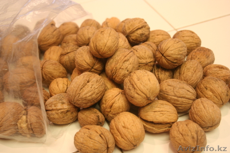 Оптом орех грецкий - Изображение #1, Объявление #1313871