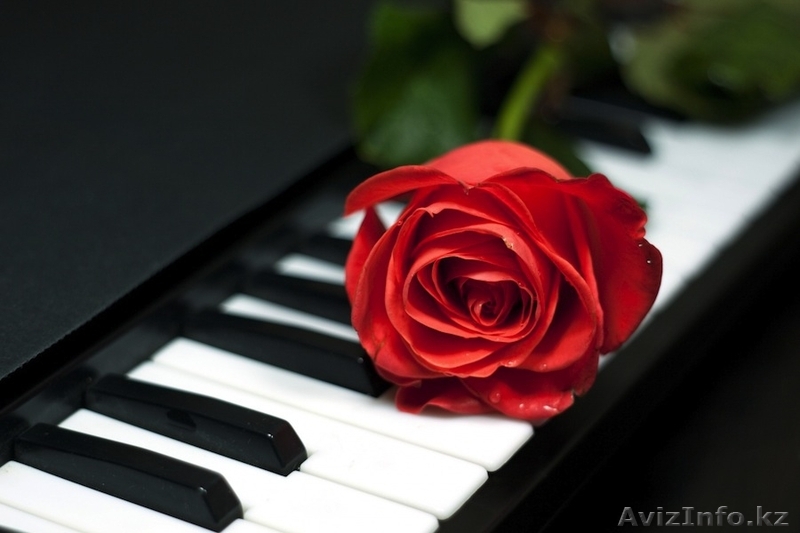 Уроки музыкальной грамоты - Изображение #1, Объявление #1309617