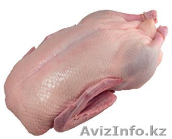 Замороженное мясо утки оптом и в розницу - Изображение #1, Объявление #1307748