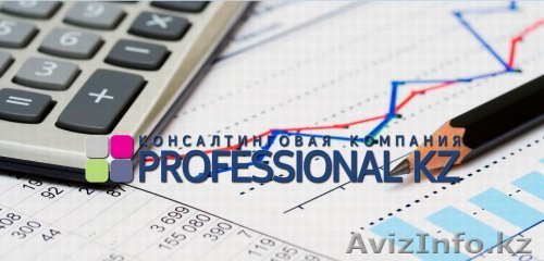 Professional kz - Изображение #1, Объявление #1324293