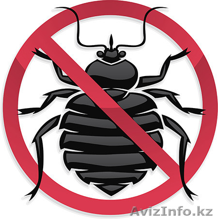 Услуги 100 % уничтожения клопов - Изображение #1, Объявление #1329823