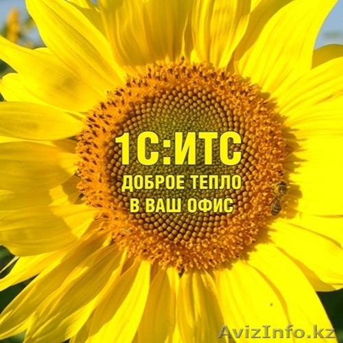 ИТС сопровождение - Изображение #1, Объявление #1334333