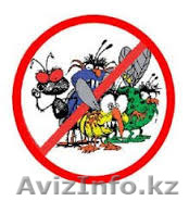 уничтожение вредных насекомых - Изображение #1, Объявление #1346848