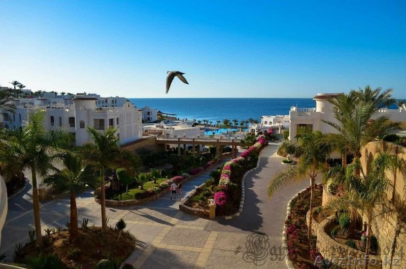 Работа в ОАЭ - Изображение #1, Объявление #1356158