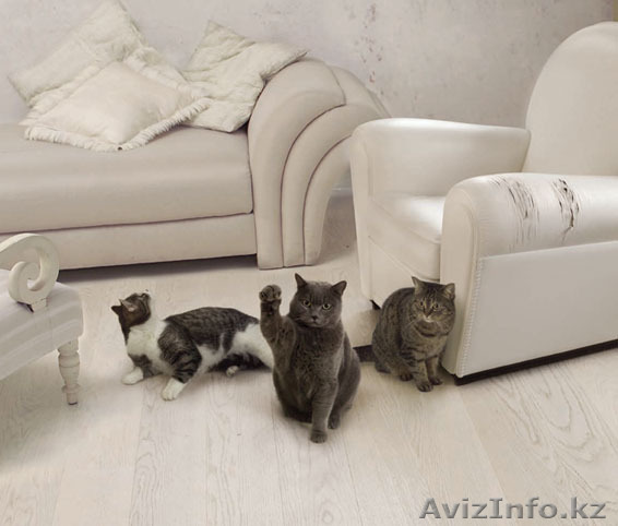 Видео фото съемка Full HD авторский монтаж - Изображение #1, Объявление #1364550