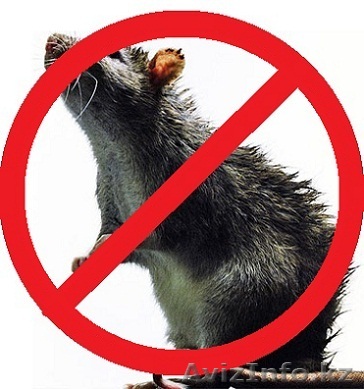 ДЕЗИНФЕКЦИЯ ДЕЗИНСЕКЦИЯ ДЕРАТИЗАЦИЯ ПОМЕЩЕНИЙ  - Изображение #1, Объявление #1378510