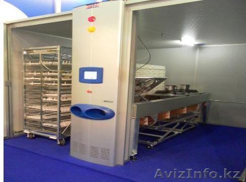 Инкубатор для выведения цыплят Jamesway - Изображение #1, Объявление #1376750