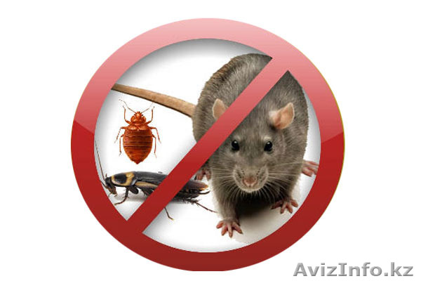 ДЕЗИНФЕКЦИЯ  ДЕЗИНФЕКЦИЯ  - Изображение #1, Объявление #1378512