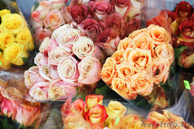 Цветы! Цветы! Цветы! - Изображение #1, Объявление #1379338