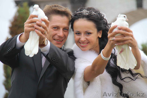 Все для праздника. Фото и видеосъемка и организация мероприятия под ключ - Изображение #1, Объявление #1382699