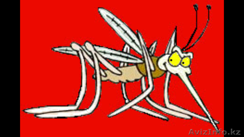 Москитные сетки в Астане! Замер доставка установка бесплатно! Бы - Изображение #1, Объявление #1455975