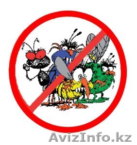 Уничтожение клопы Астана - Изображение #1, Объявление #1494376