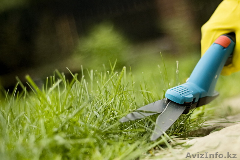 ландшафтное озеленение астана - Изображение #1, Объявление #1519301