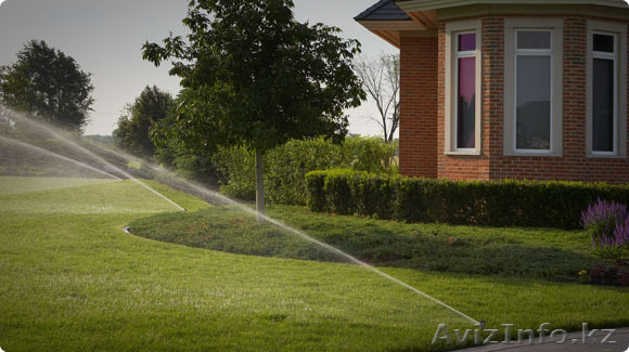 посадка деревьев и растений астана - Изображение #1, Объявление #1519347