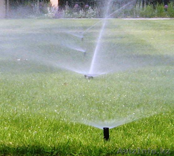 озеленение территории астана - Изображение #1, Объявление #1519295