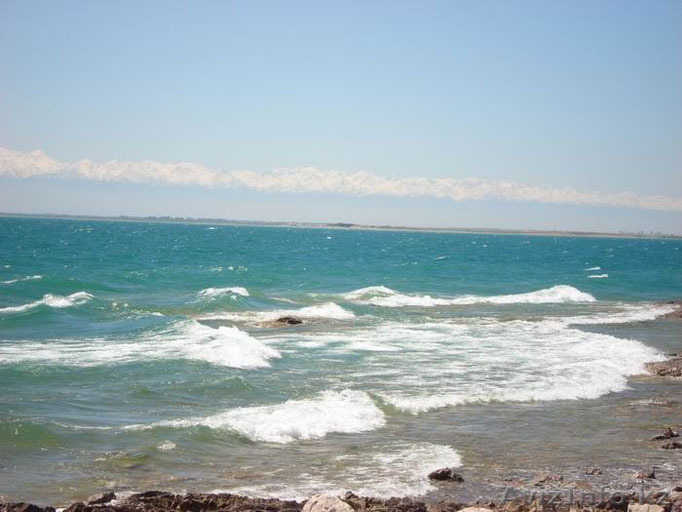 Зона отдыха,Земельный участок и Готовый бизнес! - Изображение #1, Объявление #1563877