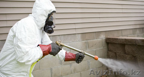 Дезинфекция в жилых и нежилых помещениях - Изображение #1, Объявление #1593686