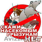 Дезинфекция, дезинсекция, дератизация Астана - Изображение #1, Объявление #1600372