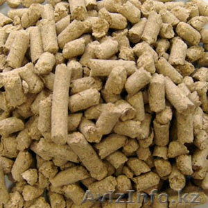 Шрот рапсовый тостированный протеин 40% - Изображение #1, Объявление #1638018