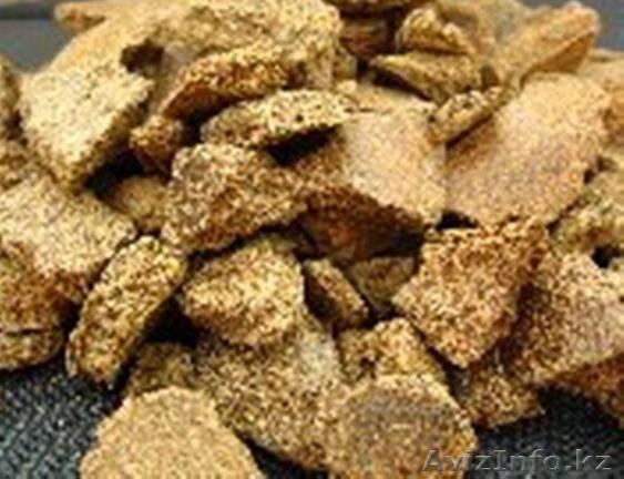 Жмых рапсовый протеин 38% - Изображение #1, Объявление #1638019