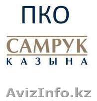 Помощь в заполнении анкеты ПКО Самрук-Казына  - Изображение #1, Объявление #1642885