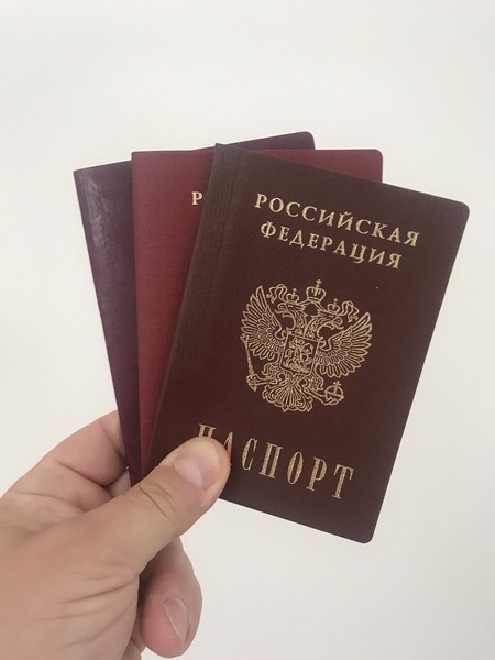 Помощь в получении статусов РВП, ВНЖ и Гражданства в России - Изображение #1, Объявление #1658052