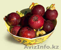 Сок из мангостина Juice King ! - Изображение #2, Объявление #28198