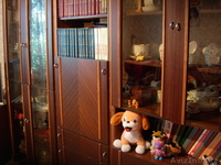 Стенка для библиотеки - Изображение #3, Объявление #46704