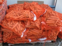 Продам польский  Морковь ,Капуста белокочанная, крупным оптом  - Изображение #5, Объявление #54585