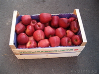 фрукты оптом  - Изображение #2, Объявление #59213