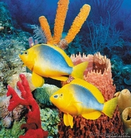 КАЗТУР. Туры по самым выгодным ценам - Изображение #4, Объявление #78066