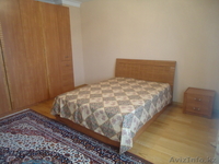 241110, 8701 5118290 - Изображение #2, Объявление #109620