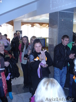 Донские сфинксы. - Изображение #4, Объявление #79519