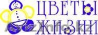 ТОО "Fair Expo" - Изображение #3, Объявление #108069