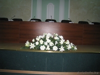 ЦВЕТЫ ПО ДОСТУПНЫМ ЦЕНАМ. - Изображение #4, Объявление #130379