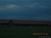 кирпичный завод $300000 - Изображение #2, Объявление #119561