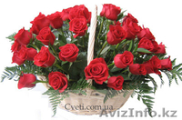 ЦВЕТЫ ПО ДОСТУПНЫМ ЦЕНАМ. - Изображение #5, Объявление #130379