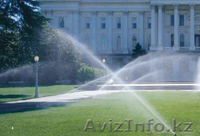 Полив вашего газона и сада. - Изображение #3, Объявление #143522