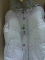 Мужские и женские пуховики - Изображение #1, Объявление #135368