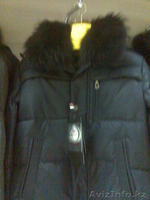 Мужские и женские пуховики - Изображение #3, Объявление #135368