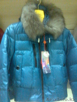 Мужские и женские пуховики - Изображение #4, Объявление #135368