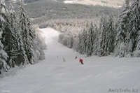 Болгарские горнолыжных курортов - Изображение #5, Объявление #147502