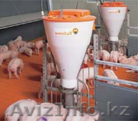 ПОИЛКИ И КОРМУШКИ ПОЛЬША - Изображение #4, Объявление #224911