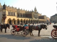 Изучение польского языка в Интернете - Изображение #1, Объявление #262193