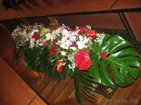 Декор-Студия "Арман" - Изображение #6, Объявление #305716